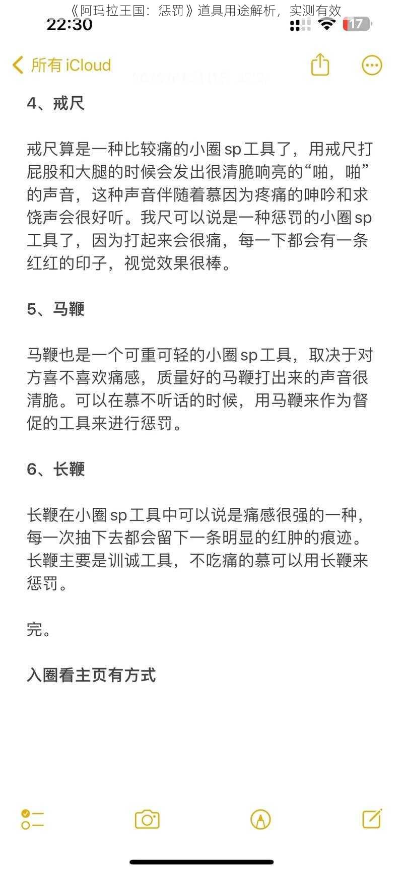 《阿玛拉王国：惩罚》道具用途解析，实测有效