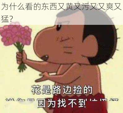 为什么看的东西又黄又污又又爽又猛？