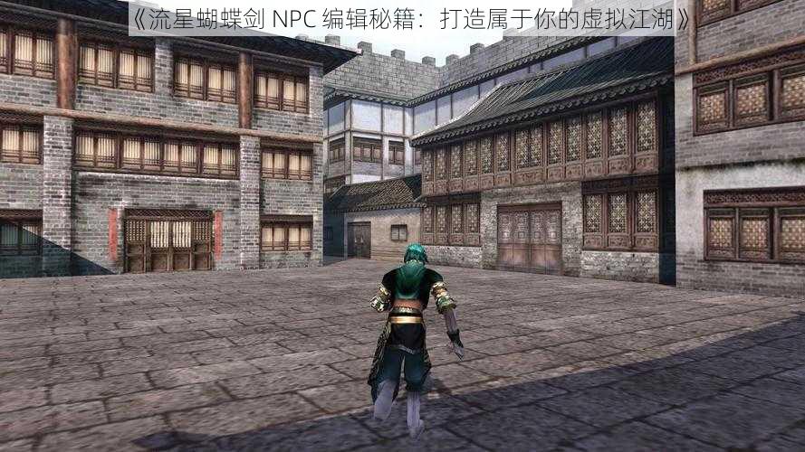 《流星蝴蝶剑 NPC 编辑秘籍：打造属于你的虚拟江湖》