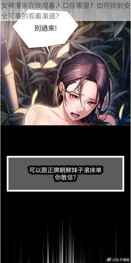 女神漫画在线观看入口在哪里？如何找到安全可靠的观看渠道？