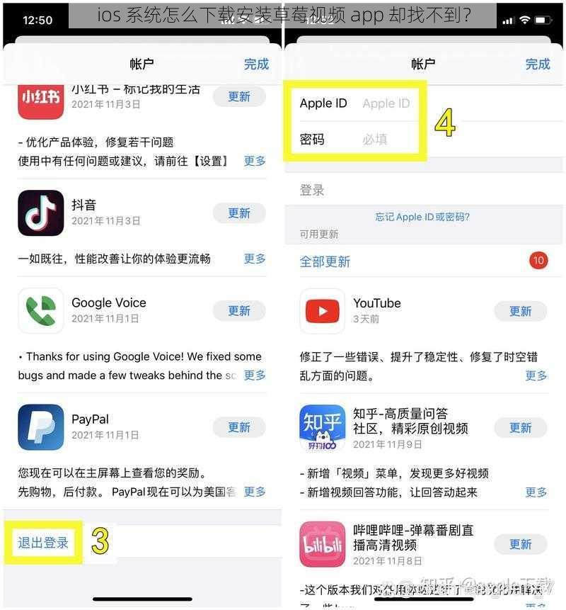 ios 系统怎么下载安装草莓视频 app 却找不到？