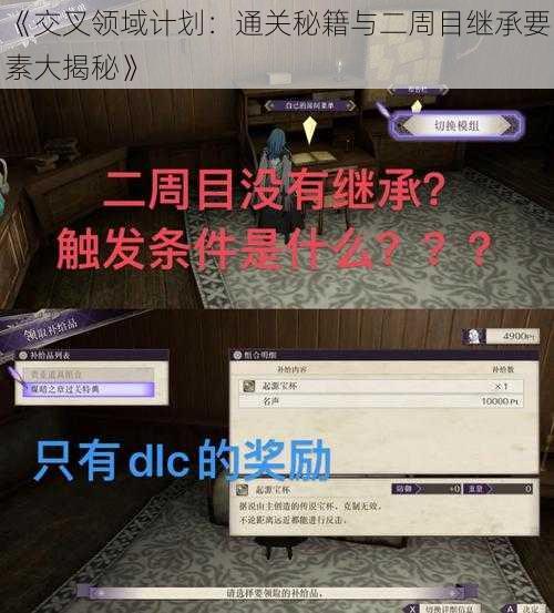《交叉领域计划：通关秘籍与二周目继承要素大揭秘》