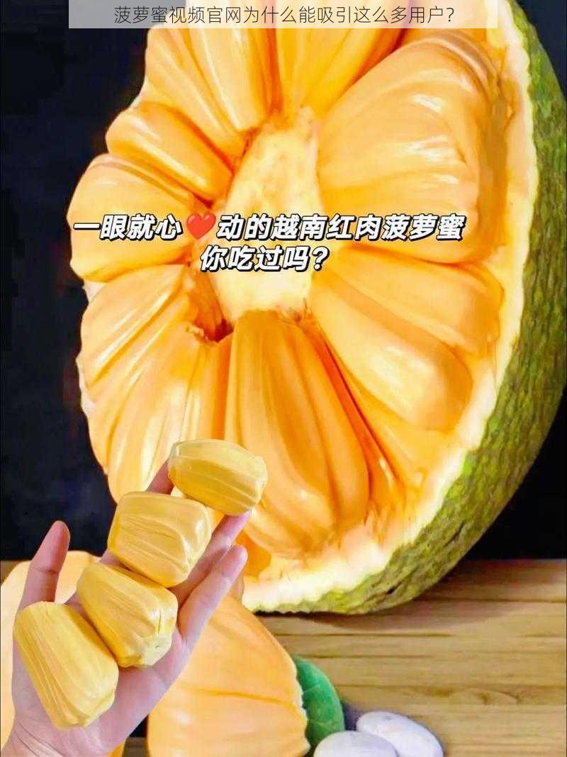 菠萝蜜视频官网为什么能吸引这么多用户？