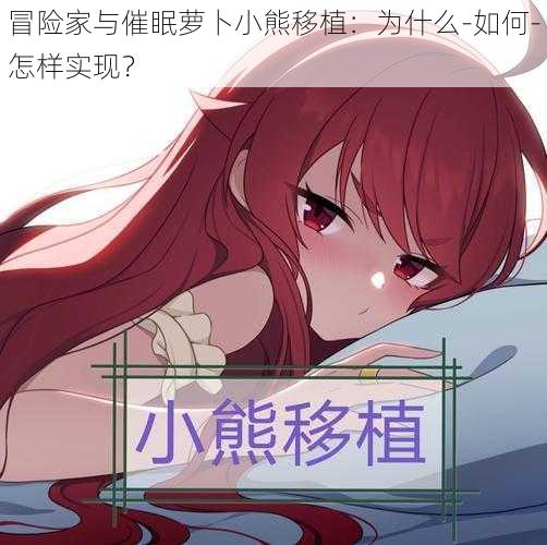 冒险家与催眠萝卜小熊移植：为什么-如何-怎样实现？