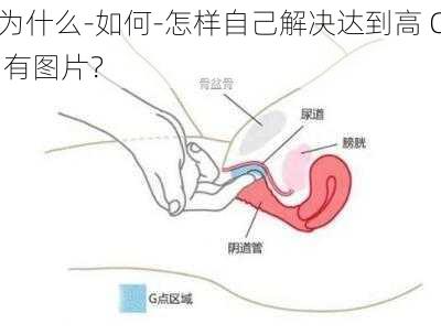 为什么-如何-怎样自己解决达到高 C 有图片？