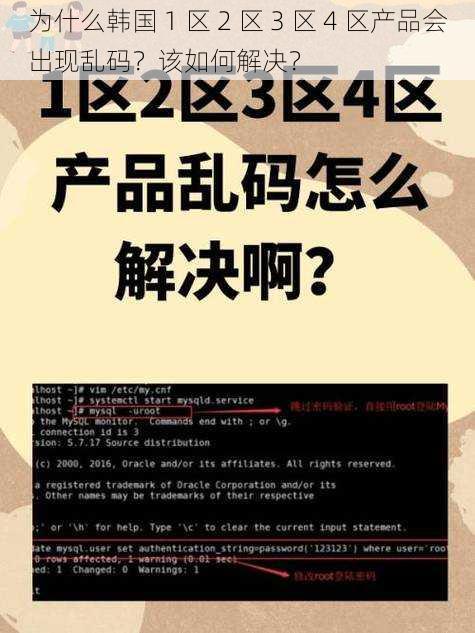 为什么韩国 1 区 2 区 3 区 4 区产品会出现乱码？该如何解决？