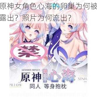 原神女角色心海的卵巢为何被露出？照片为何流出？