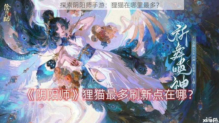 探索阴阳师手游：狸猫在哪里最多？