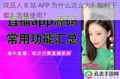 成品人 B 站 APP 为什么这么火？如何下载？怎样使用？