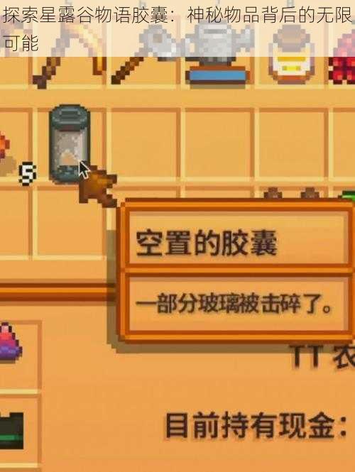 探索星露谷物语胶囊：神秘物品背后的无限可能