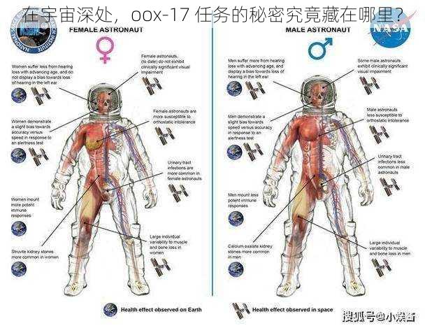 在宇宙深处，oox-17 任务的秘密究竟藏在哪里？