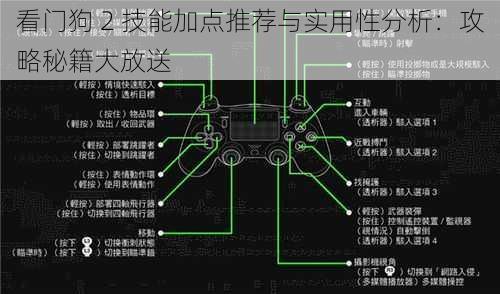 看门狗 2 技能加点推荐与实用性分析：攻略秘籍大放送