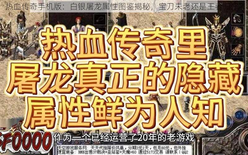 热血传奇手机版：白银屠龙属性图鉴揭秘，宝刀未老还是王者归来？