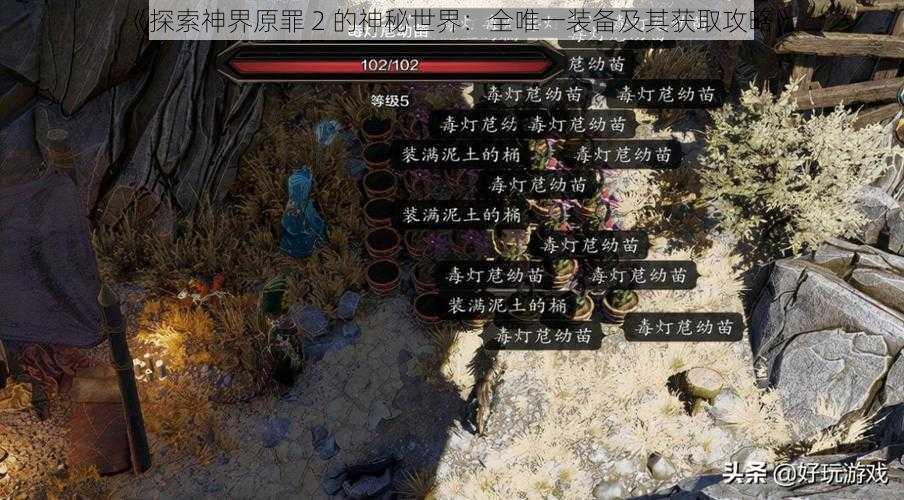 《探索神界原罪 2 的神秘世界：全唯一装备及其获取攻略》