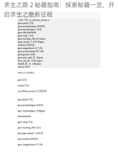 求生之路 2 秘籍指南：探索秘籍一览，开启求生之路新征程