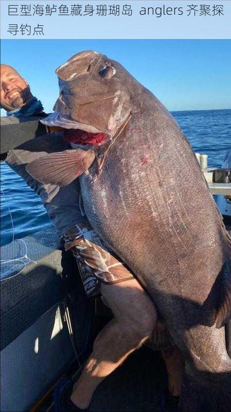 巨型海鲈鱼藏身珊瑚岛  anglers 齐聚探寻钓点