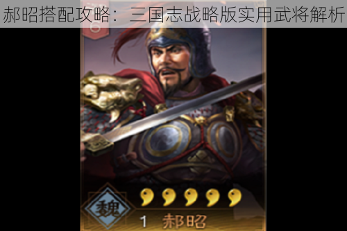 郝昭搭配攻略：三国志战略版实用武将解析